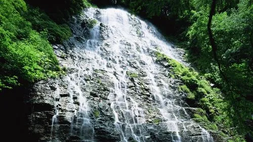 信息化节能高性能